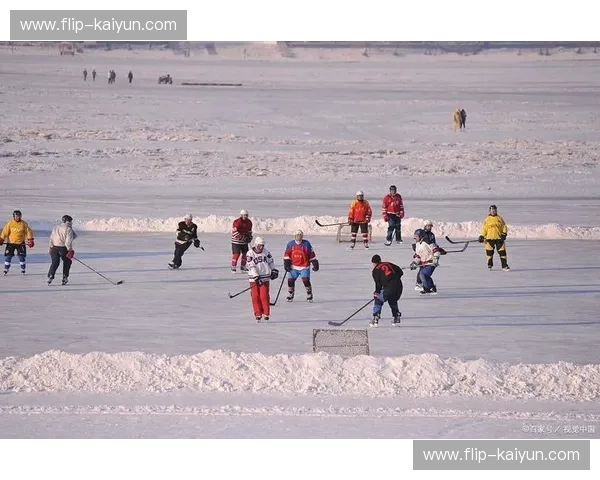 冰球：速度、激情与团队精神的冰面畅想